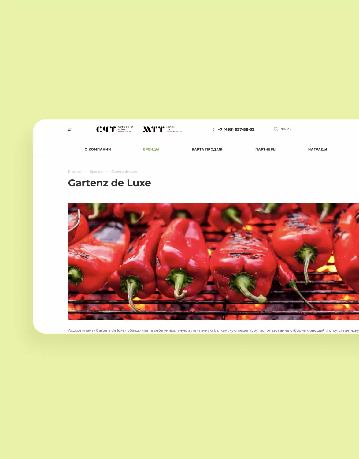 MTT – tela do painel de desenvolvimento 2