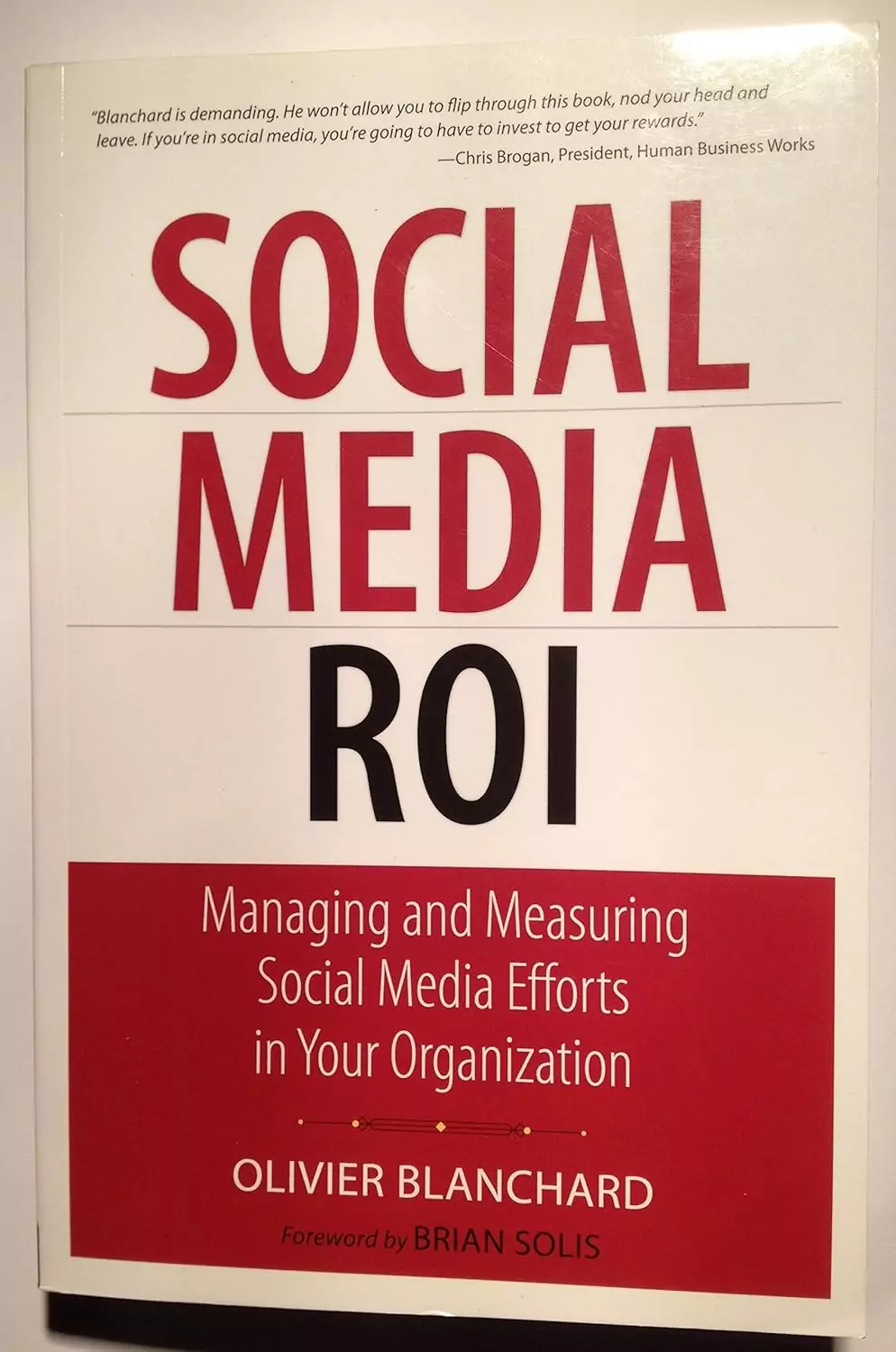 ROI da mídia social